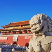 中国女排对阵塔图姆展开拉锯大战，最终险胜对手